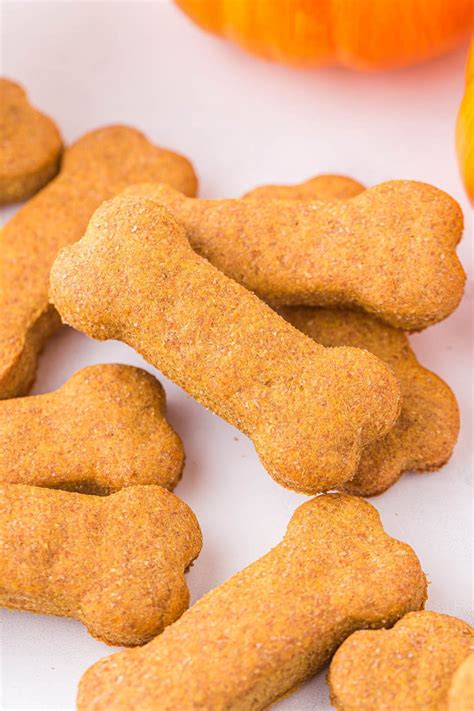 Pumpkin Dog Treats Recipe - Princess Pinky Girl