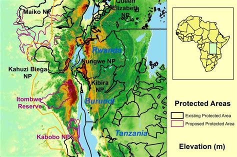 Study predicts wildlife of Africa's Albertine Rift will be threatened by climate change