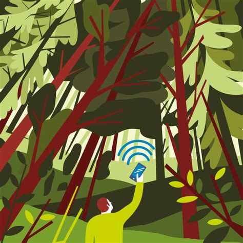 Tree-planting campaigns get a high-tech boost - Experience Magazine