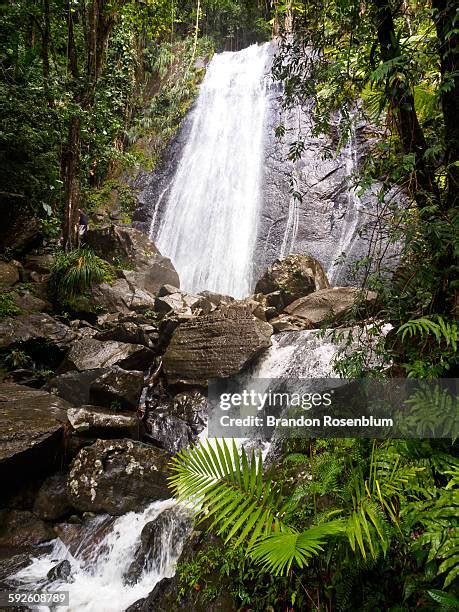 69 El Yunque Waterfalls Stock Photos, High-Res Pictures, and Images ...