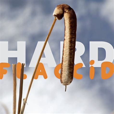 Understanding Hard Flaccid Syndrome: Causes, Symptoms, and Treatment Options