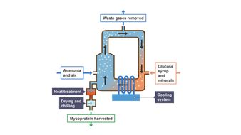 AQA GCSE 9-1 Ecology: Food Production | Teaching Resources