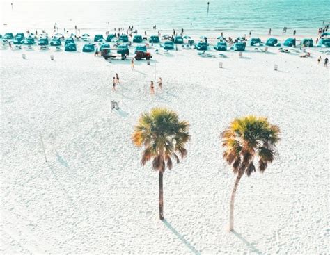 8 Amazing Beaches near New Port Richey, FL – Wild