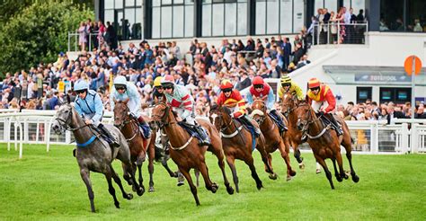 Perth Racecourse - Scottish Racing