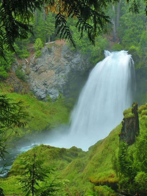 Sahalie Falls, Upper McKenzie River, Oregon | Outdoor vacation, Nature ...