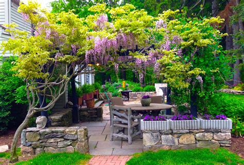 wisteria pergola 3 Wisteria Pergola, Pergola Garden, Diy Pergola, Gazebo, Backyard, Small ...