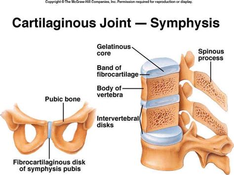 Ghim trên Chapter 9 - Joints