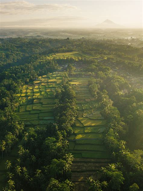 Fullday Ubud Highlights Tour - The Best of Ubud - Balivacationtrip.com