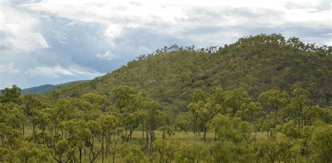 savanna landscape photo - Don photos at pbase.com