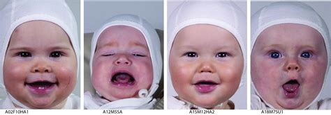 Frontiers | The Tromso Infant Faces Database (TIF): Development, Validation and Application to ...