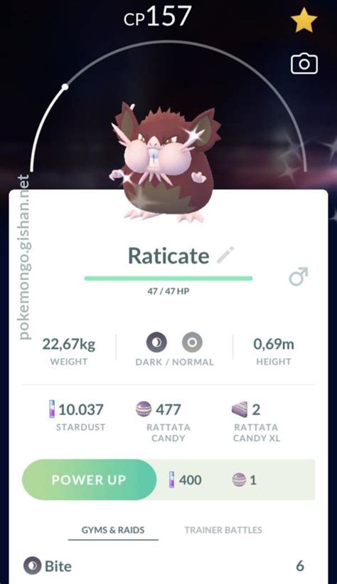 Shiny Raticate - Pokemon Go