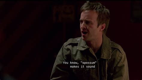 Jesse Pinkman Tumblr Quotes