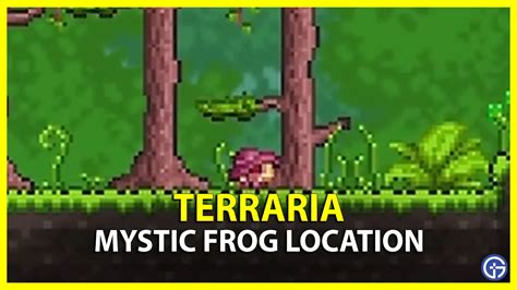 How To Catch Mystic Frog In Terraria - Gamer Tweak