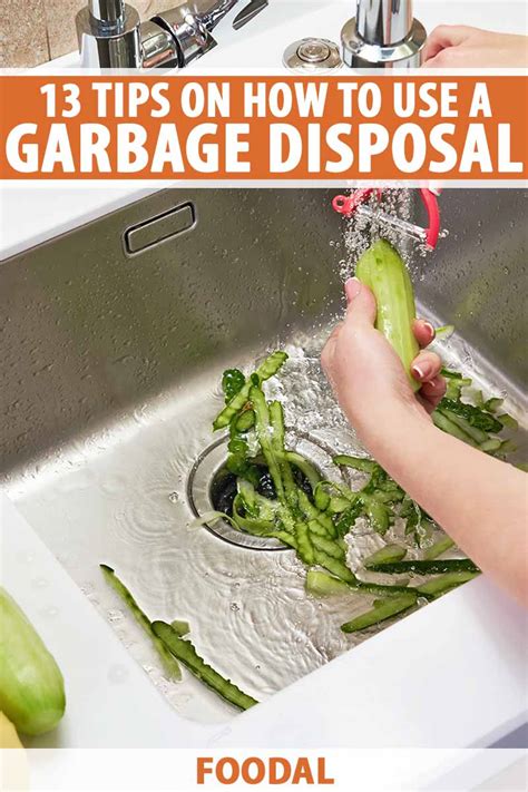 13 Tips to Use a Garbage Disposal Right | Foodal