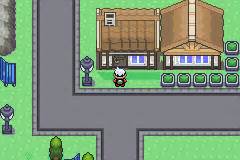 Pokemon Flora Sky Screenshot Images | Pokemon Flora Sky