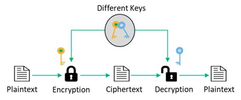 Symmetric vs Asymmetric Encryption - 5 Differences Explained by Experts