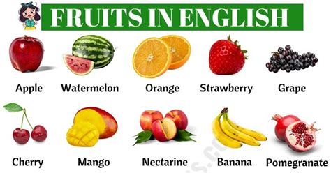 List of Fruits! In this lesson, you will learn a list of common fruit names in English with ESL ...