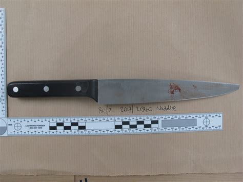 Family of knife crime victim release picture of bloody murder weapon ...