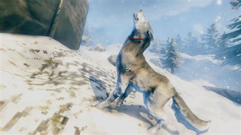 Valheim taming – how to tame and name animals in Valheim