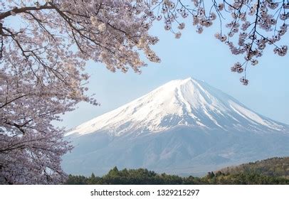 Mount Fuji Lake Kawaguchiko Cherry Blossom Stock Photo 1329215297 | Shutterstock