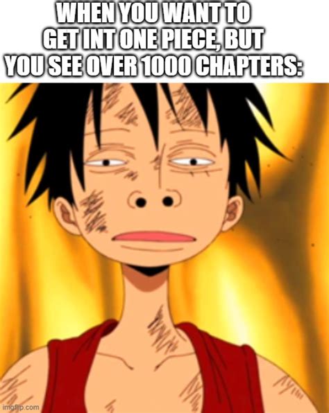 One Piece Luffy Meme One Piece Meme One Piece Luffy One Piece Meme ...