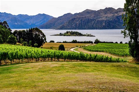 Wine Drive to Top Wineries of Central Otago