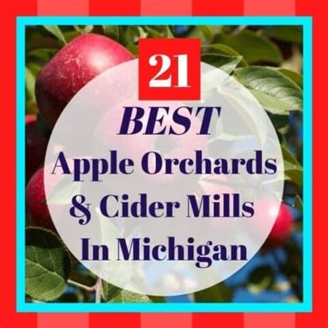 2023 BEST Fall Festivals in Michigan: Your Ultimate Guide to Michigan ...