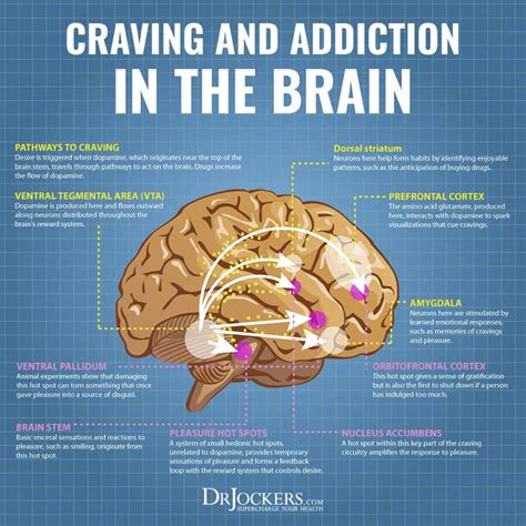 Addiction causes and natural treatments – Artofit