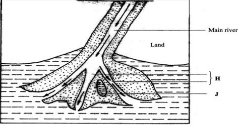 Arcuate Delta Diagram