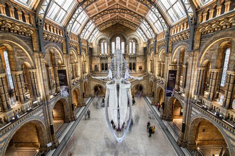 The Natural History Museum Lobby, United Kingdom