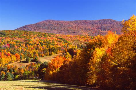 Hiking Mount Greylock: A Thunderbolt Out of the Blue - Your AAA Network