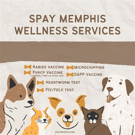 Spay Memphis | Spay Desoto