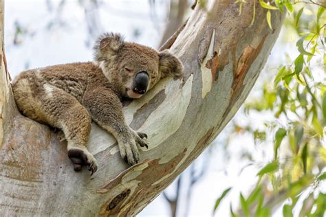 The Top 20 National Parks in Australia