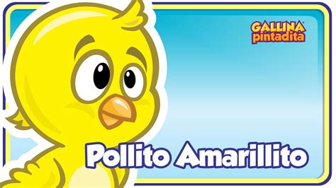 La canción del Pollito Amarillito, una de las más conocidas de Gallina Pintadita