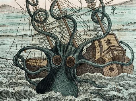 The Kraken: when myth encounters science - Medievalists.net