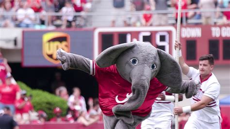 National Mascot Day | The University of Alabama - YouTube