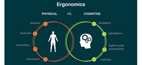 Cognitive Ergonomics: Healthy Buildings Foster Healthy Minds - Tradeline, Inc.