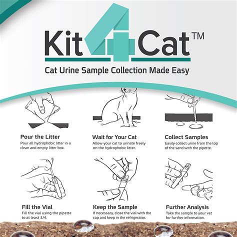 KIT4CAT Cat Urine Sample Collection Kit Urine Testing for Cats, 2-lb ...