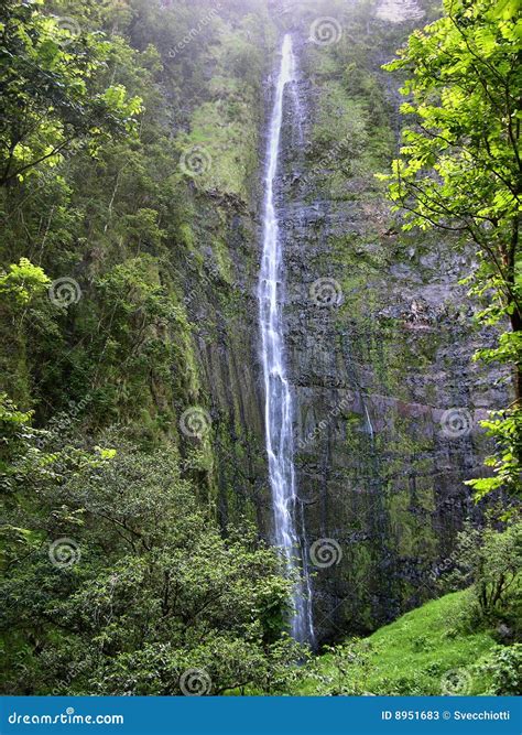 Waimoku Falls, Maui stock image. Image of destination - 8951683