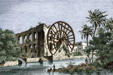 Egyptian water wheel - Stock Image - V105/0010 - Science Photo Library