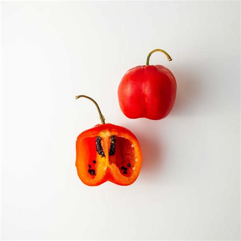 Rocoto – Best of Latin Food Stuff