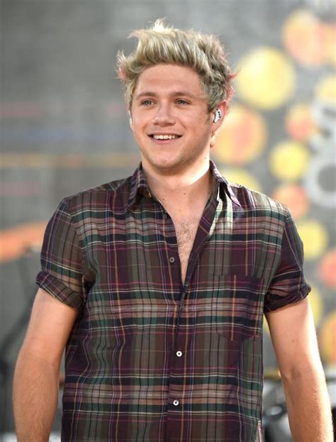 Niall Horan With Brown Hair | Winter 2016 | POPSUGAR Beauty