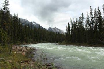 Sunwapta River Rafting | Maligne Rafting Adventures