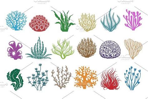 Plants In The Ocean Names