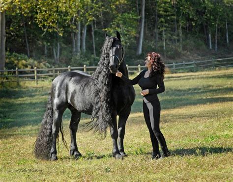 Head-Turning Stallion, ‘Frederik the Great,’ 20, Considered the World’s ...