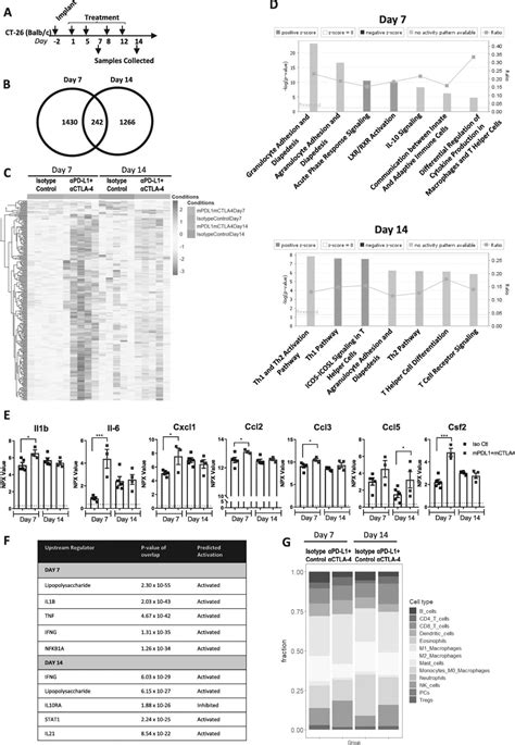 Longitudinal immune characterization of syngeneic tumor models to enable model selection for ...