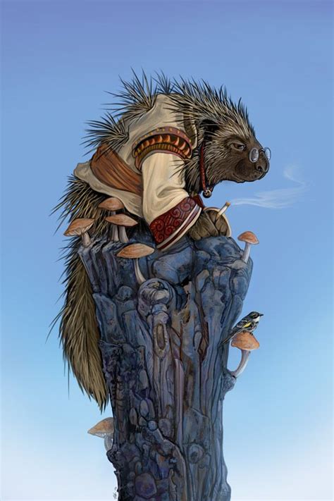 Elder Porcupine | Porcupine illustration, Porcupine, Art