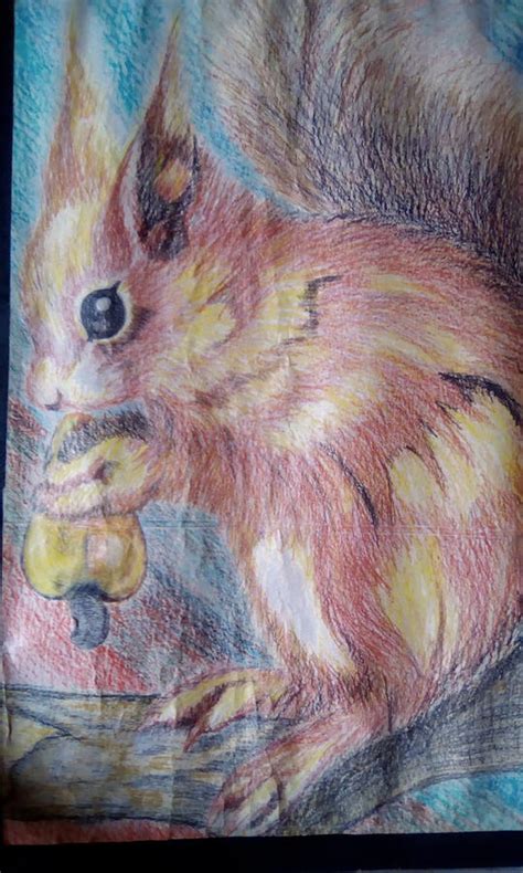 Eating Squirrel Drawing by Dee Jay Multimedia - Pixels