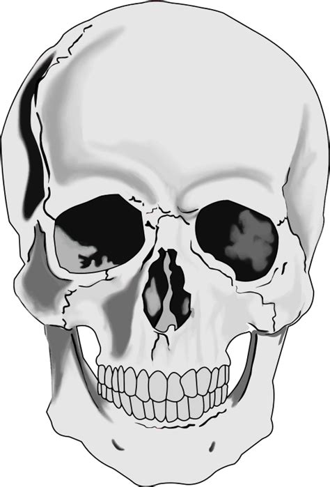 Free Transparent Skull Cliparts, Download Free Transparent Skull Cliparts png images, Free ...