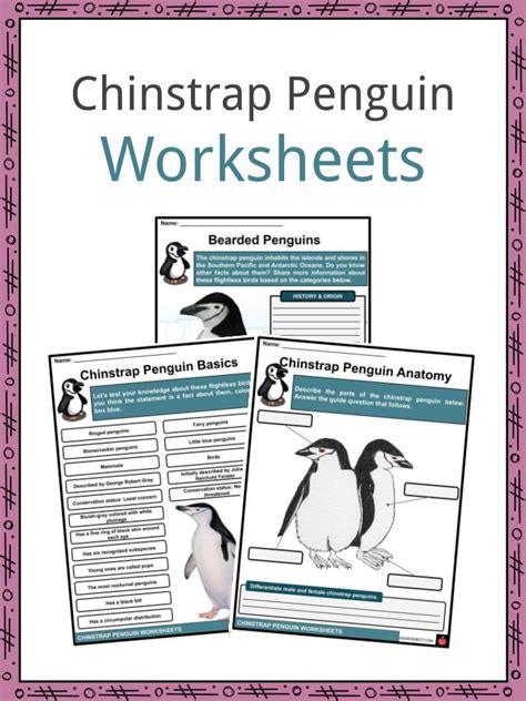 Chinstrap Penguin Facts, Worksheets & Taxonomy For Kids